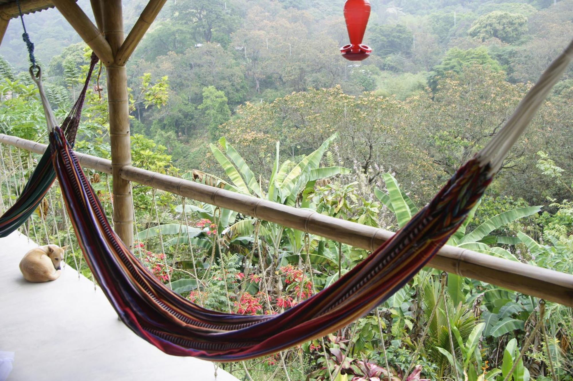 Hostal Vista Verde มินกา ภายนอก รูปภาพ