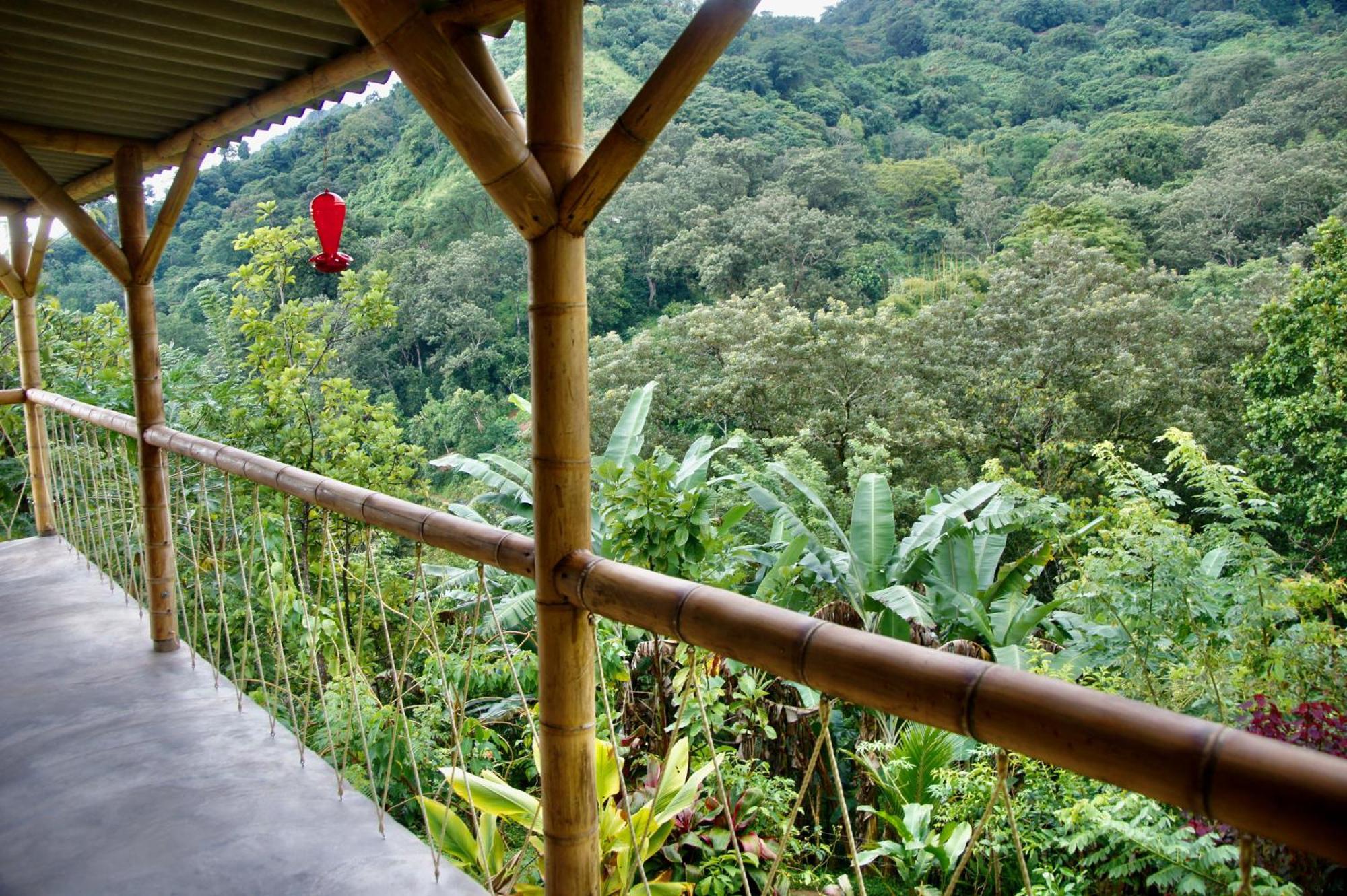 Hostal Vista Verde มินกา ภายนอก รูปภาพ